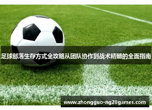 足球部落生存方式全攻略从团队协作到战术精髓的全面指南