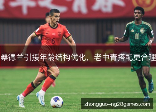 桑德兰引援年龄结构优化，老中青搭配更合理